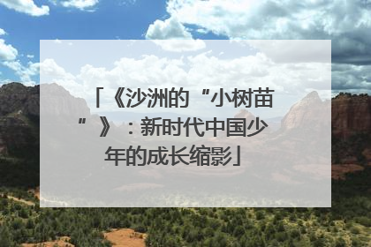 《沙洲的“小树苗”》：新时代中国少年的成长缩影
