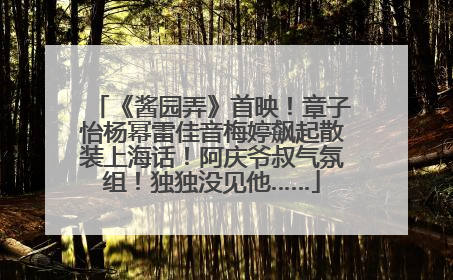 《酱园弄》首映！章子怡杨幂雷佳音梅婷飙起散装上海话！阿庆爷叔气氛组！独独没见他……