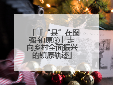 「“县”在图强·镇原③」走向乡村全面振兴的镇原轨迹