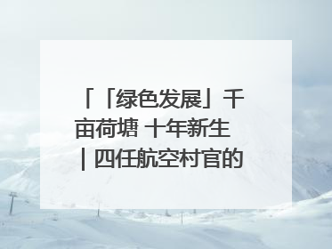 「绿色发展」千亩荷塘 十年新生｜四任航空村官的“生态接力”