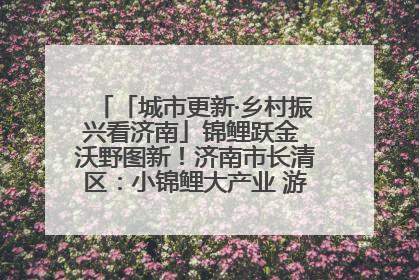 「城市更新·乡村振兴看济南」锦鲤跃金 沃野图新！济南市长清区：小锦鲤大产业 游出农旅新风景