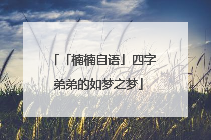 「楠楠自语」四字弟弟的如梦之梦