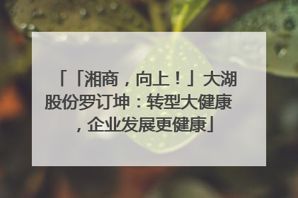 「湘商，向上！」大湖股份罗订坤：转型大健康，企业发展更健康