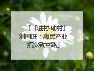 「驻村·助村」刘同旺：惠民产业拓宽致富路