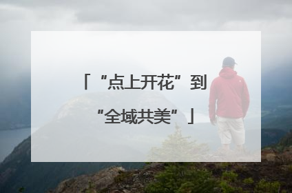 “点上开花”到“全域共美”