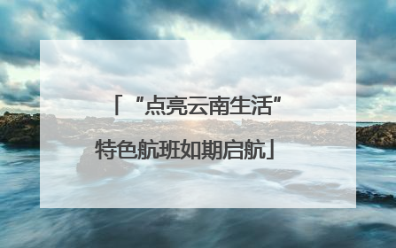“点亮云南生活”特色航班如期启航