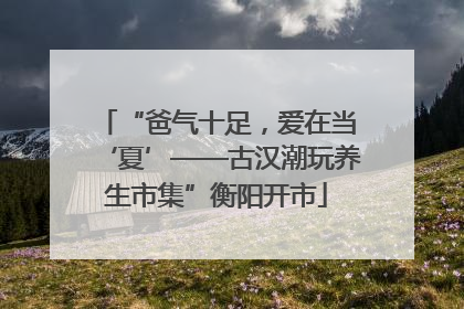 “爸气十足，爱在当‘夏’——古汉潮玩养生市集”衡阳开市