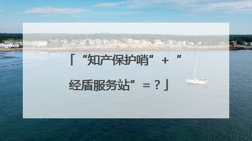 “知产保护哨”+“经盾服务站”=？