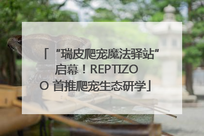 “瑞皮爬宠魔法驿站” 启幕！REPTIZOO 首推爬宠生态研学