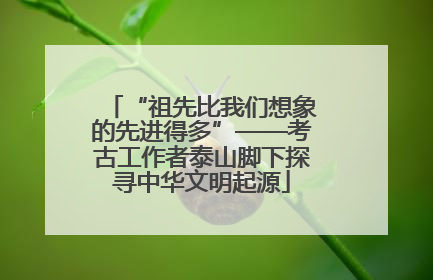 “祖先比我们想象的先进得多”——考古工作者泰山脚下探寻中华文明起源