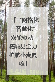 “网格化+智慧化”双轮驱动 柘城县全力护航小麦夏收