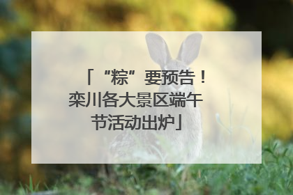 “粽”要预告！栾川各大景区端午节活动出炉