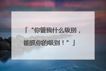 “你管我什么级别，能抓你的级别！”