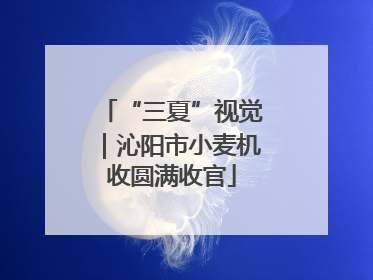 “三夏”视觉｜沁阳市小麦机收圆满收官