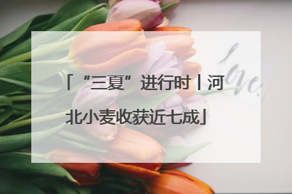 “三夏”进行时丨河北小麦收获近七成