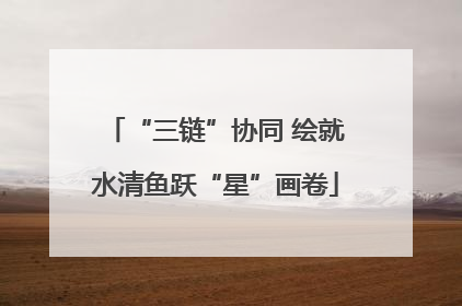 “三链”协同 绘就水清鱼跃“星”画卷