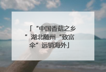 “中国香菇之乡”湖北随州“致富伞”远销海外