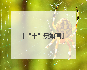 “丰”景如画