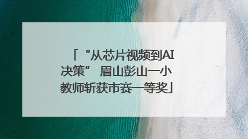 “从芯片视频到AI决策” 眉山彭山一小教师斩获市赛一等奖