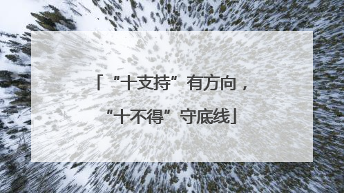 “十支持”有方向，“十不得”守底线