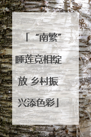 “南繁”睡莲竞相绽放 乡村振兴添色彩