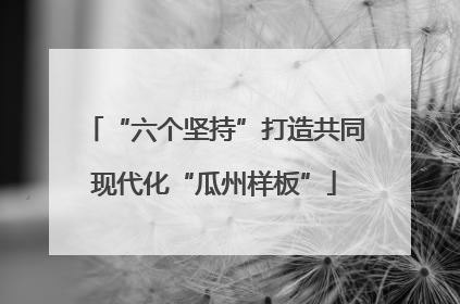 “六个坚持”打造共同现代化“瓜州样板”