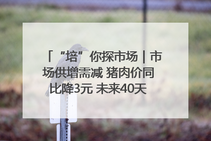 “培”你探市场｜市场供增需减 猪肉价同比降3元 未来40天便宜猪肉敞开吃