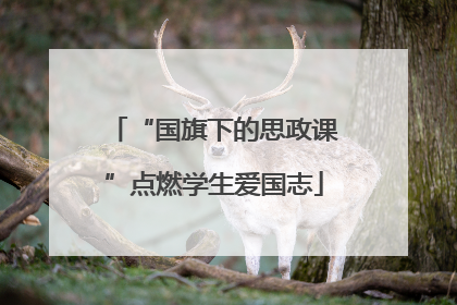 “国旗下的思政课”点燃学生爱国志