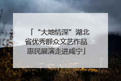 “大地情深”湖北省优秀群众文艺作品惠民展演走进咸宁