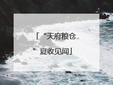 “天府粮仓”夏收见闻