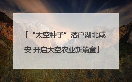 “太空种子”落户湖北咸安 开启太空农业新篇章