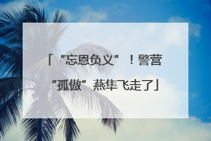 “忘恩负义”！警营“孤傲”燕隼飞走了