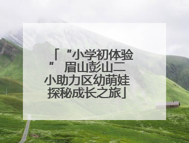 “小学初体验” 眉山彭山二小助力区幼萌娃探秘成长之旅