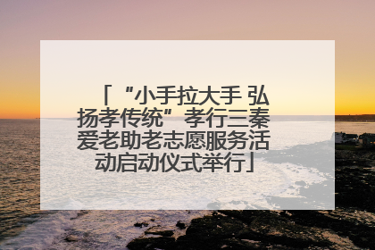 “小手拉大手 弘扬孝传统”孝行三秦爱老助老志愿服务活动启动仪式举行