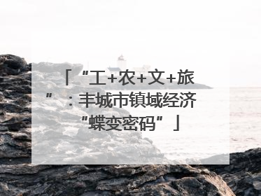 “工+农+文+旅”：丰城市镇域经济“蝶变密码”