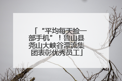 “平均每天捡一部手机”！鲁山县尧山大峡谷漂流集团表彰优秀员工