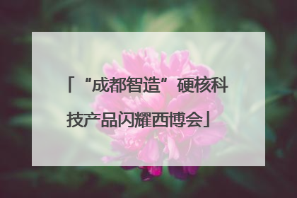 “成都智造”硬核科技产品闪耀西博会