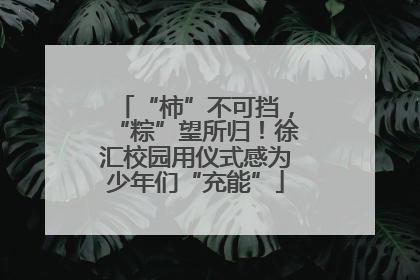 “柿”不可挡，“粽”望所归！徐汇校园用仪式感为少年们“充能”
