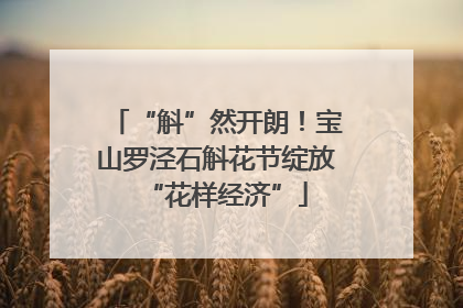 “斛”然开朗！宝山罗泾石斛花节绽放“花样经济”