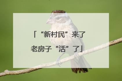 “新村民”来了 老房子“活”了