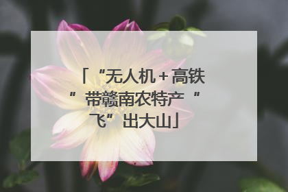“无人机＋高铁”带赣南农特产“飞”出大山