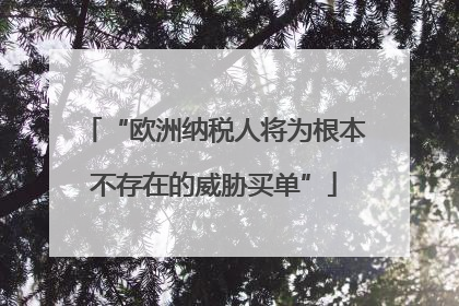 “欧洲纳税人将为根本不存在的威胁买单”