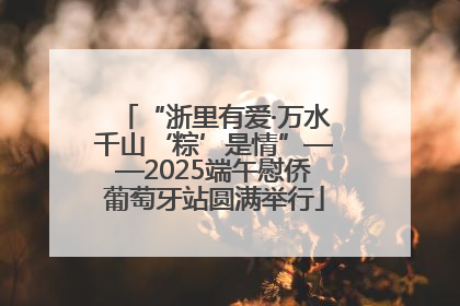 “浙里有爱·万水千山‘粽’是情”——2025端午慰侨葡萄牙站圆满举行