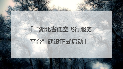 “湖北省低空飞行服务平台”建设正式启动