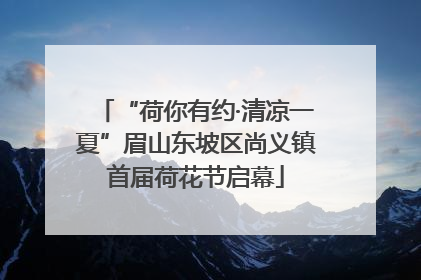 “荷你有约·清凉一夏”眉山东坡区尚义镇首届荷花节启幕