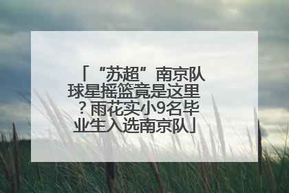 “苏超”南京队球星摇篮竟是这里？雨花实小9名毕业生入选南京队