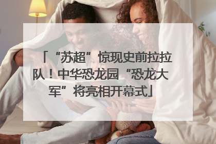 “苏超”惊现史前拉拉队！中华恐龙园“恐龙大军”将亮相开幕式
