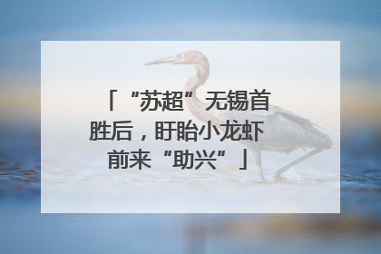 “苏超”无锡首胜后，盱眙小龙虾前来“助兴”