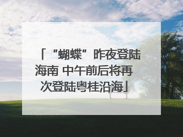 “蝴蝶”昨夜登陆海南 中午前后将再次登陆粤桂沿海