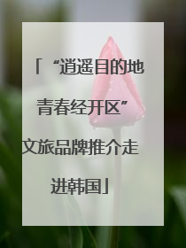 “逍遥目的地 青春经开区”文旅品牌推介走进韩国